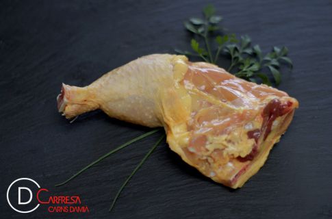 MUSLO DE POLLO