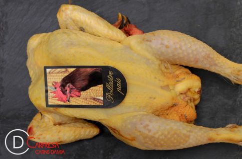 POLLO DE PAYÉS