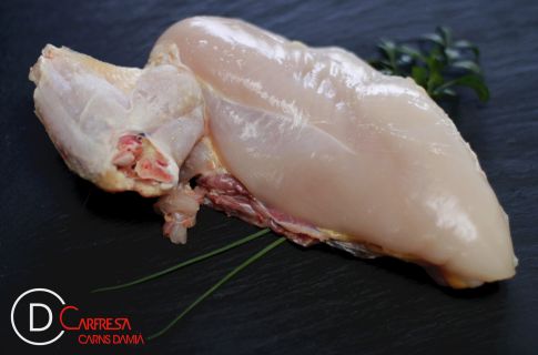 PECHUGA DE GALLINA